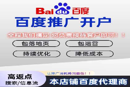 某行业巨头背后的SEM代运营托管公司